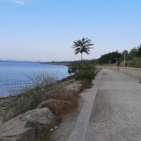 Decor In Atlantis Resort&spa By Rv *