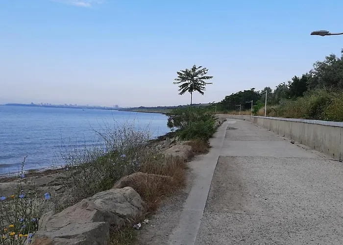 Decor In Atlantis Resort&spa By Rv *